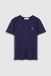 DARIUS | NAVY CARP
