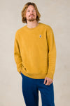 NEIL | OCHRE CARP