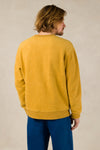 NEIL | OCHRE CARP