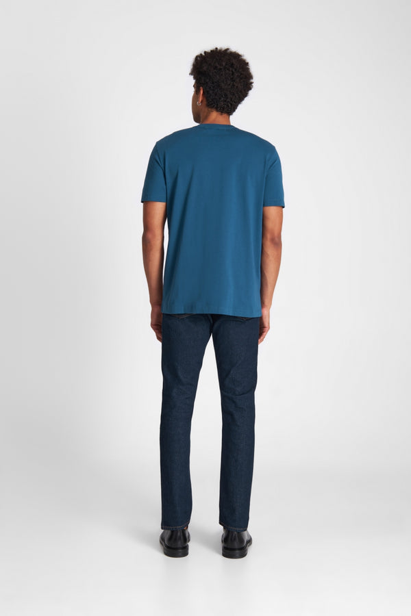 DARIUS | ELECTRIC BLUE CARP